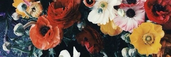 kerker721's profile banner image