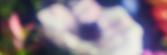 2020Takashit's profile banner image