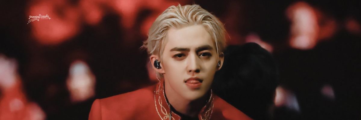 skye | ₍ᐢ. .ᐢ₎ ₊˚⊹♡ banner