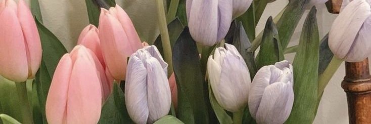 jlnsmlng's profile banner image