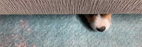 lilsheba Profile Banner