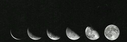 rxsherd's profile banner image