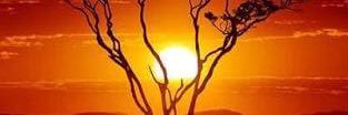 78Kazzam78's profile banner image