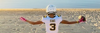 Quantez Sims banner