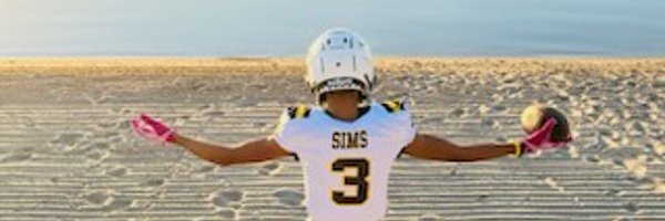 QSims26589 Profile Banner