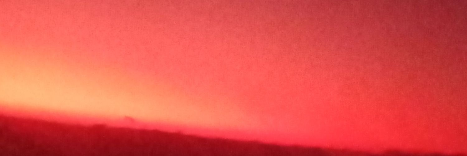 alexandreone10's profile banner image