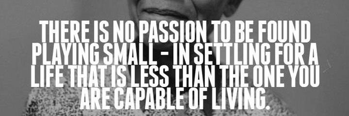 Danielle Posa banner