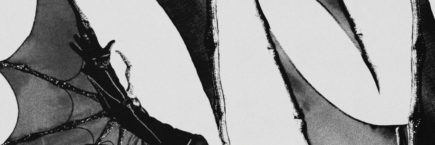 🦇's banner