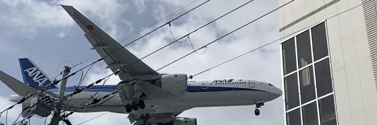 くうママ🐾 banner