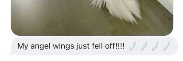 callowqys Profile Banner