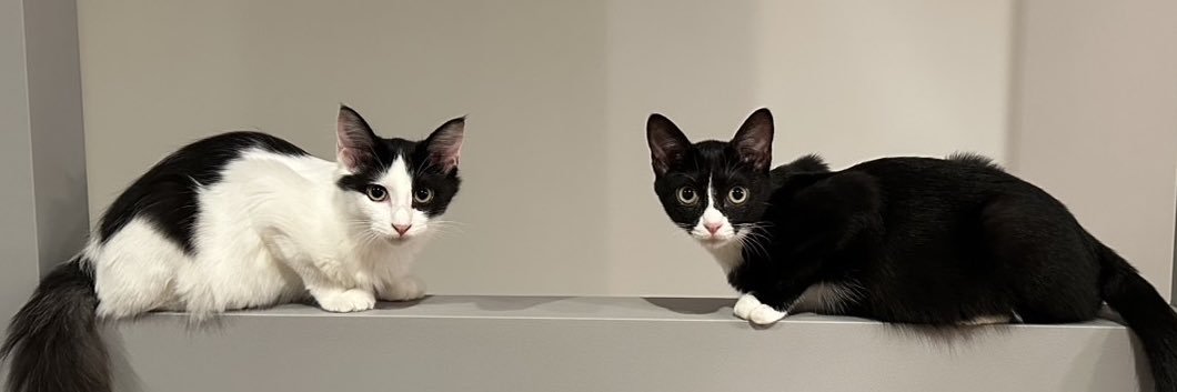 アンとミシェル Anne & Michelle banner