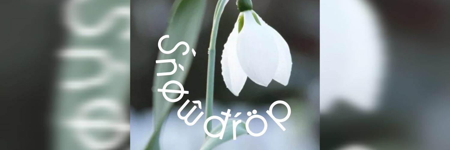 𓍯SNÓWÐRÒP𓍯's banner