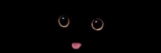 ciayciayy's profile banner image