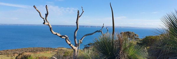 hoadie71 Profile Banner