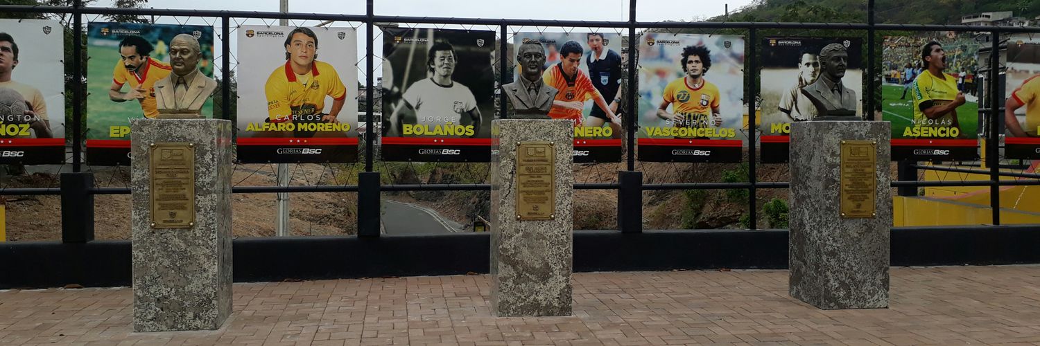 Also know as Pepe banner