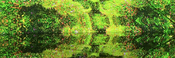 ChainWhisperer banner