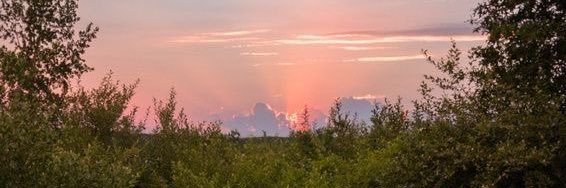 light pink brunette . ۫ ꣑ৎ . banner