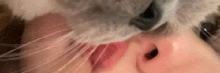 M✨ banner