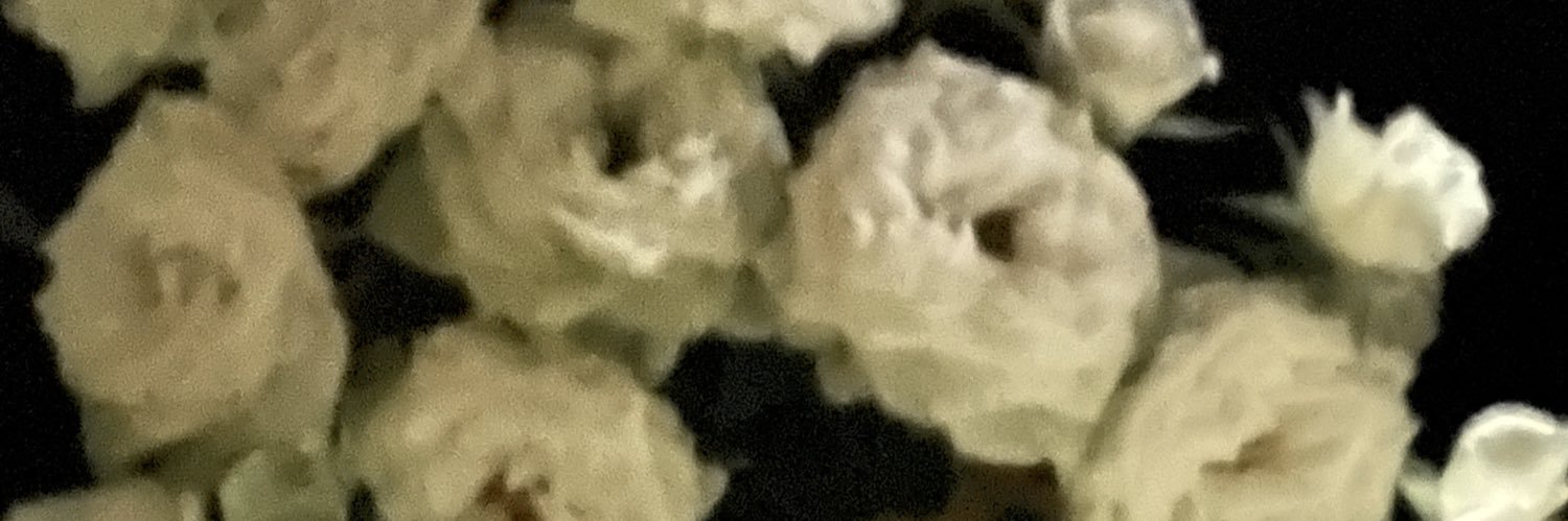 Only_Milo's profile banner image