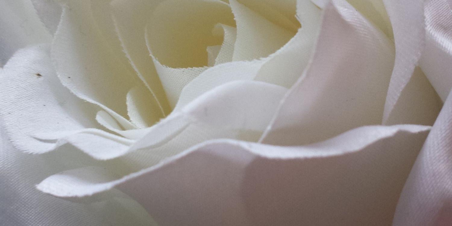 Maaike lindeman-blom banner