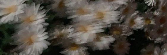 _7llius's profile banner image