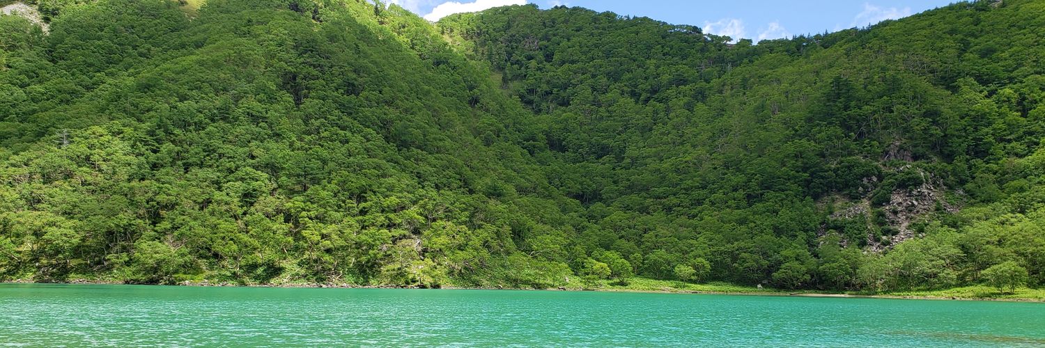 milkycatcom100%Real banner