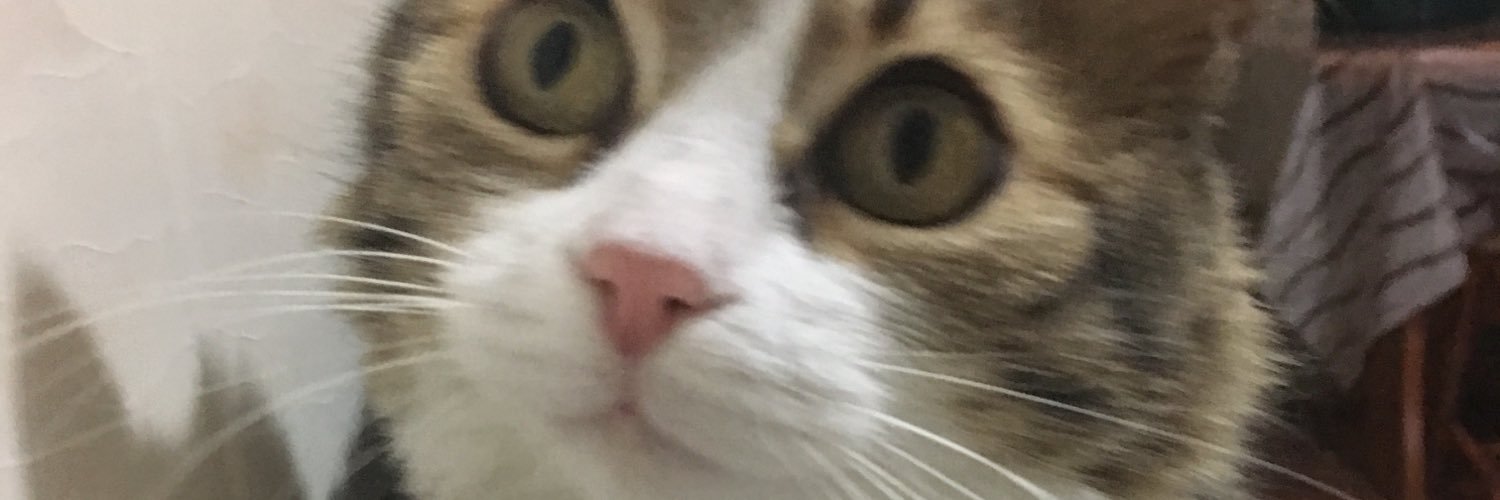 dincbegmm's profile banner image