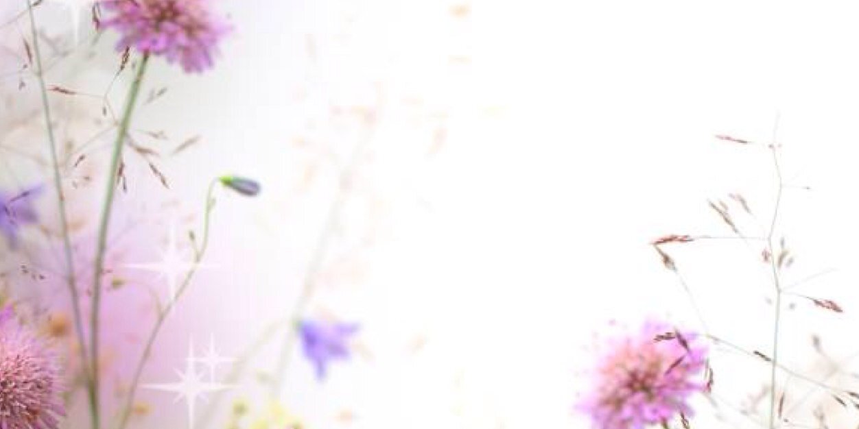 SamSpaces's profile banner image