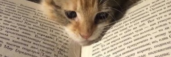 TensorTwerker Profile Banner