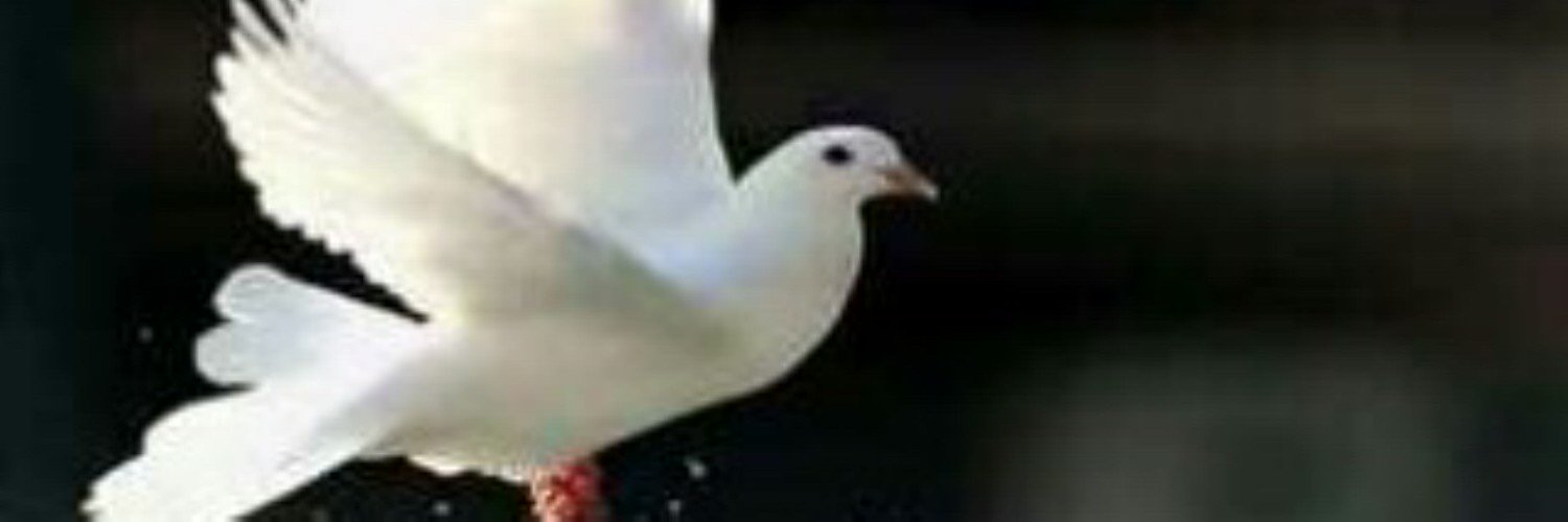 Hollumedix's profile banner image