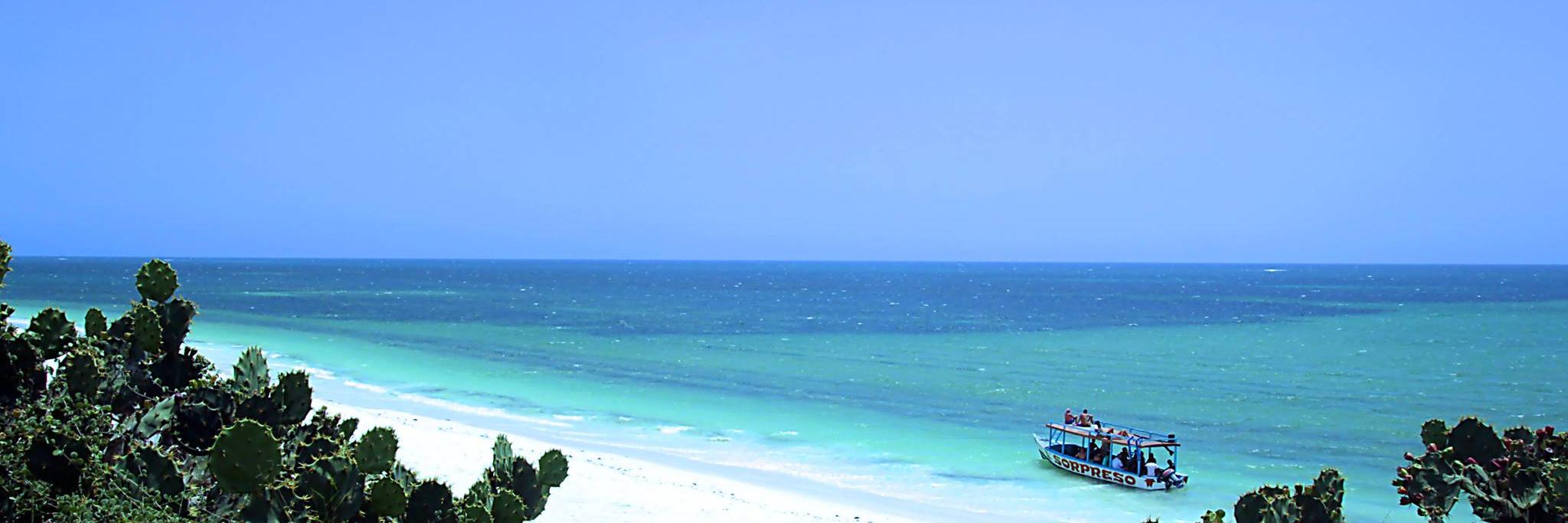 lynacy's profile banner image