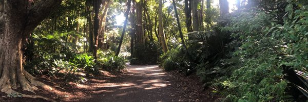 andrebocaodev Profile Banner