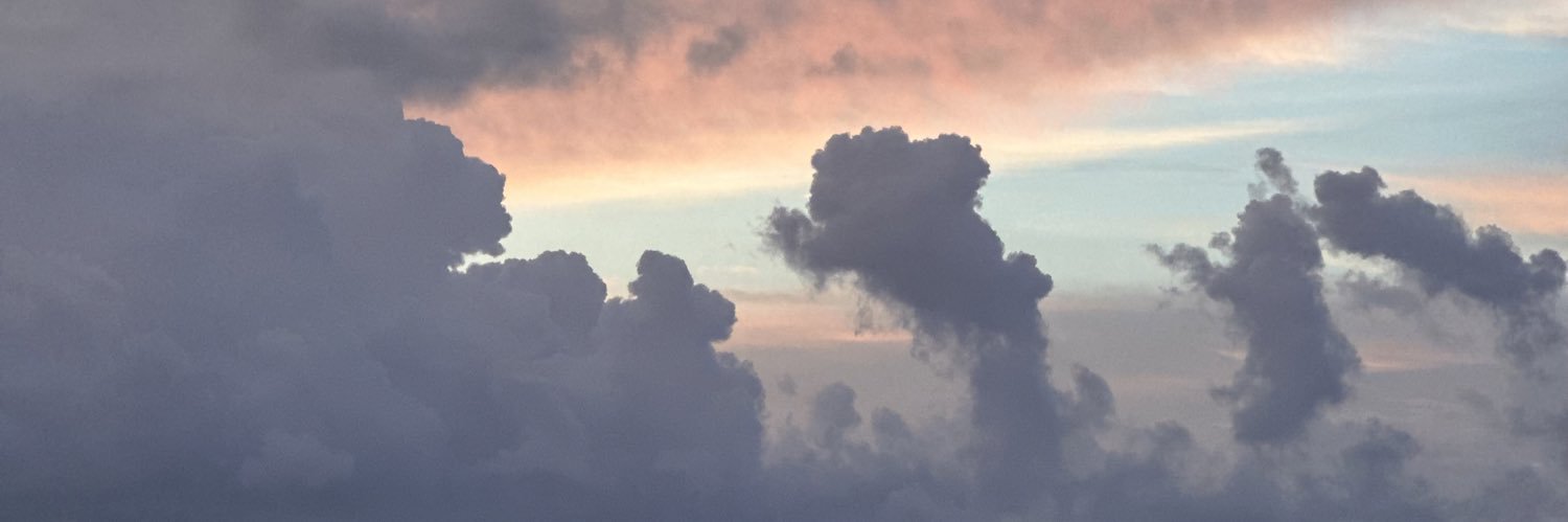lemonjb_'s profile banner image