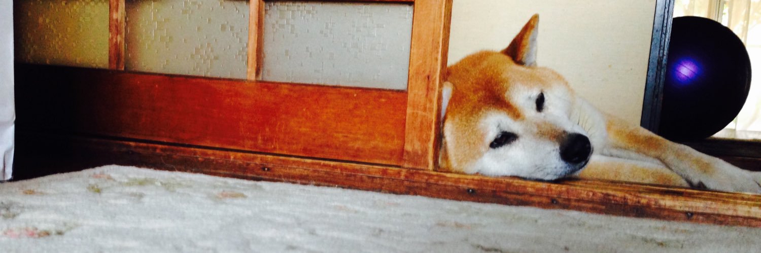 ysnomm's profile banner image