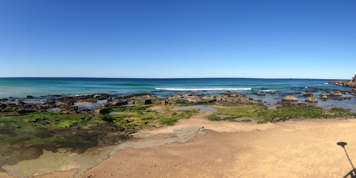 Dr Emma Pollock banner