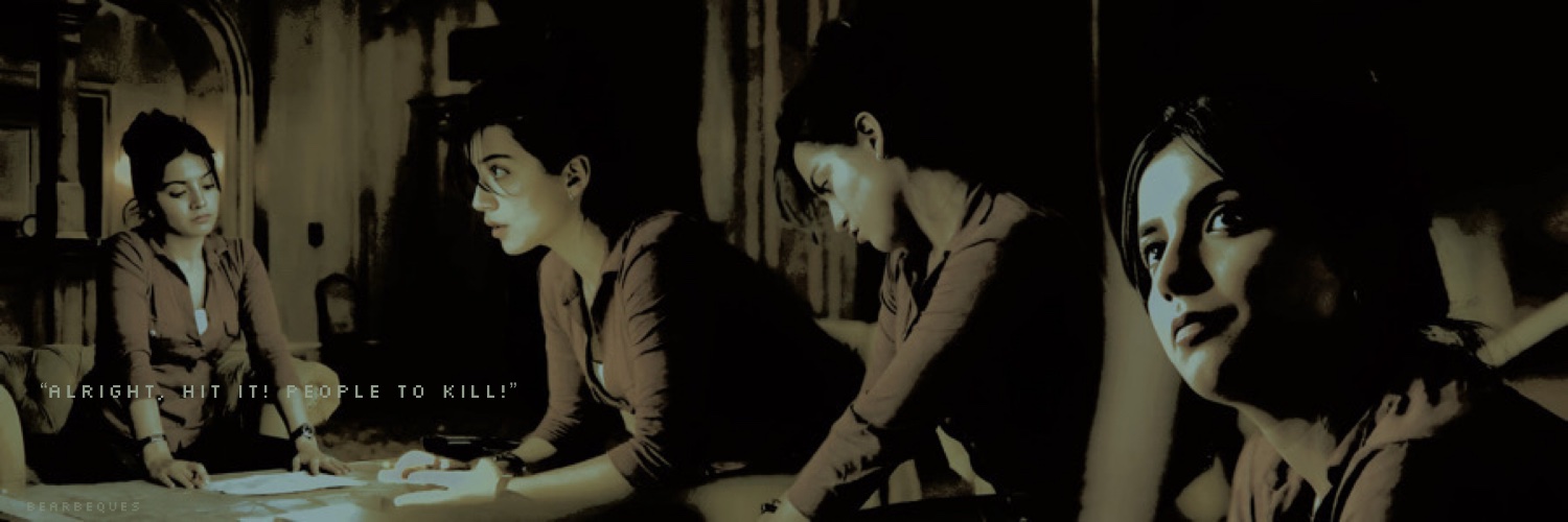 𝐒𝐈𝐑, 𝐘𝐄𝐒, 𝐒𝐈𝐑 .ᐟ┆seen TLOU s2. banner