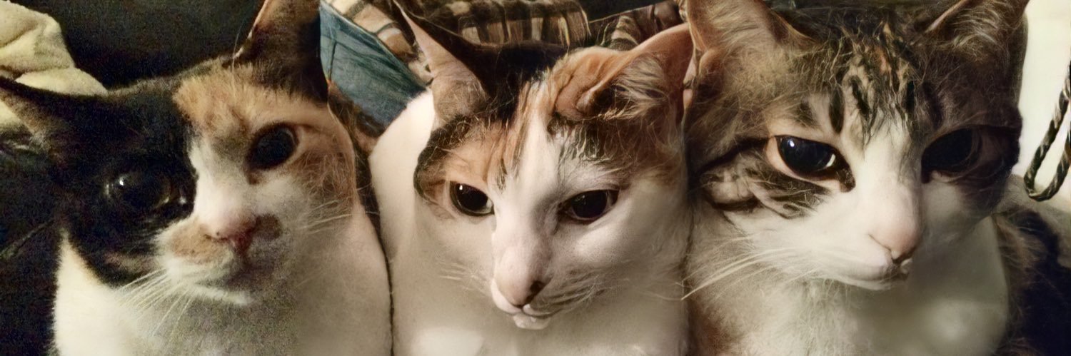 Mee9yoU's profile banner image