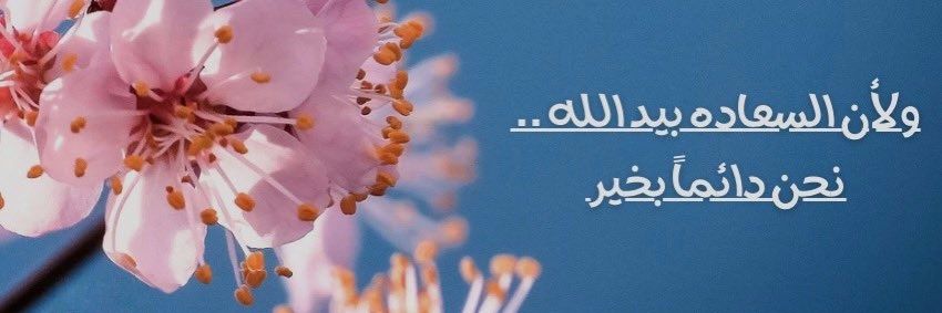 نون 🌸 banner