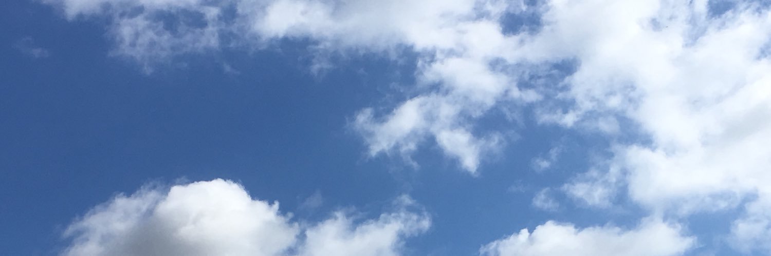 Ingeborg Wanders banner