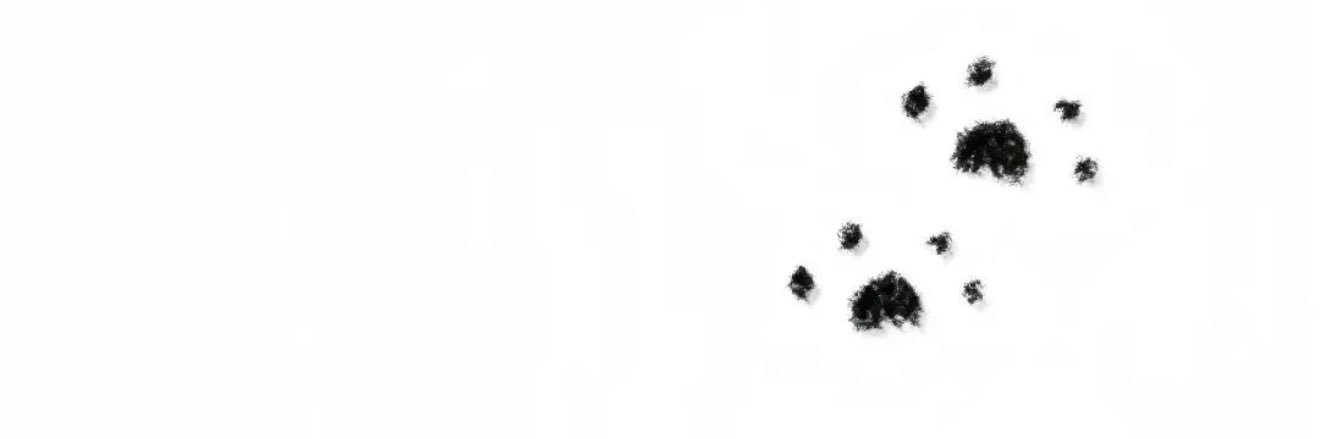 bbokbboki1212's profile banner image