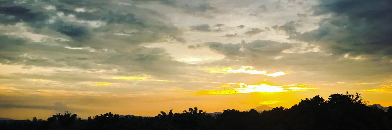 thanksforthmmrs's profile banner image
