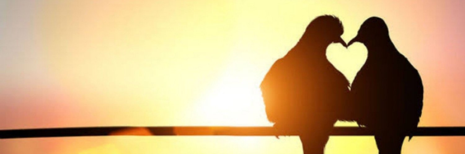 Farzan_vv's profile banner image