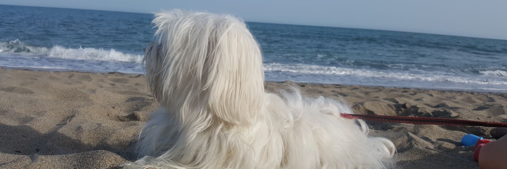 Mariajosegilgil's profile banner image