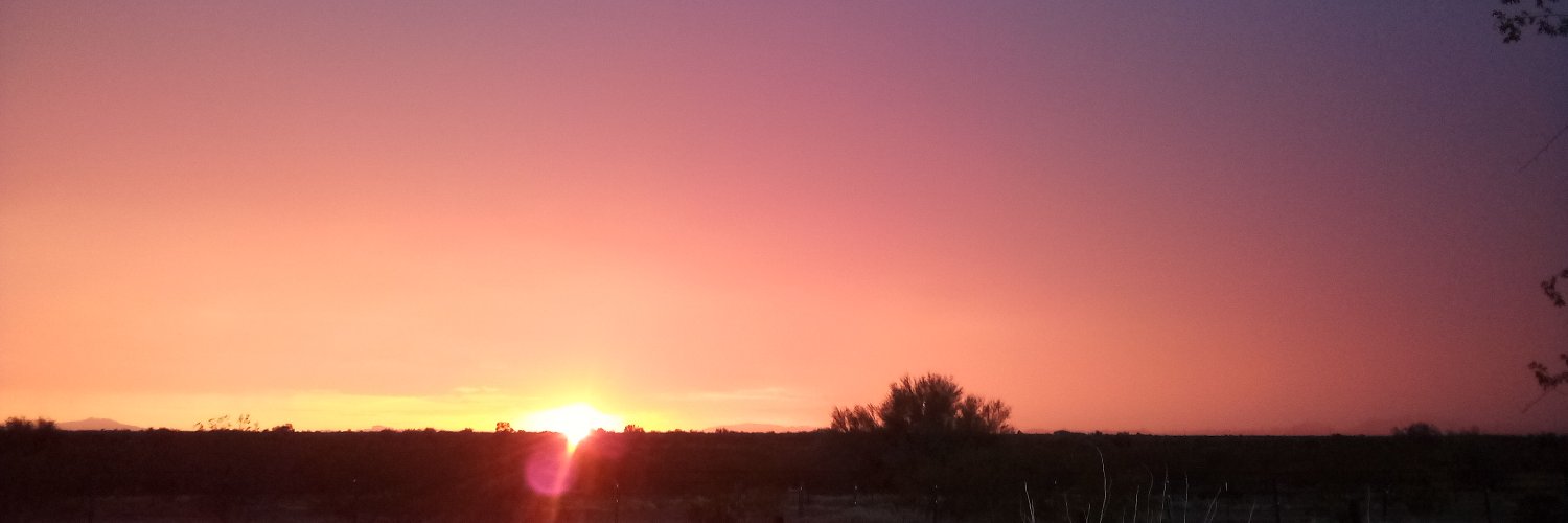 Mrs Wentworth banner