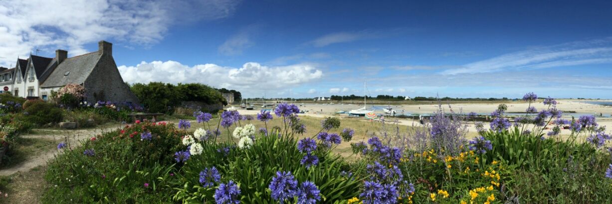 Pierre-Yves Le Borgn banner