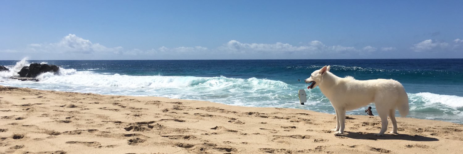 IsaiahKawaiola's profile banner image