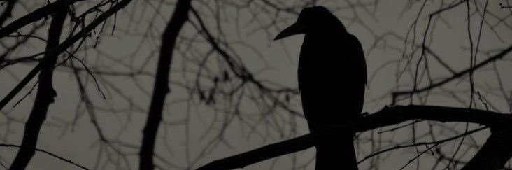 alfaveomega's profile banner image