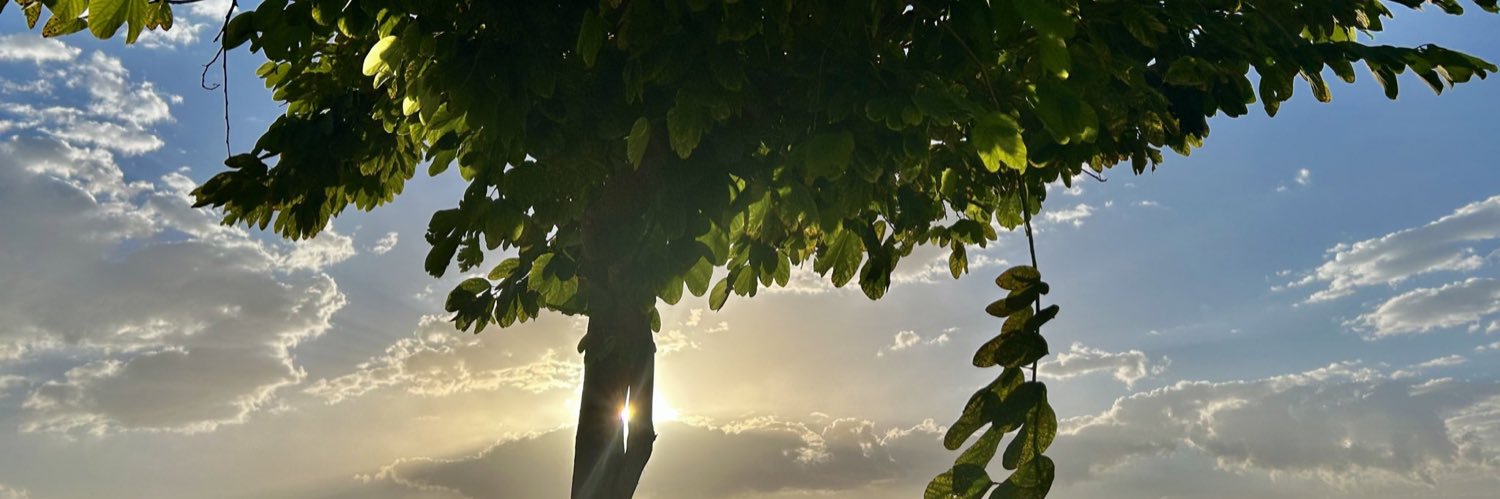 vcjjr's profile banner image