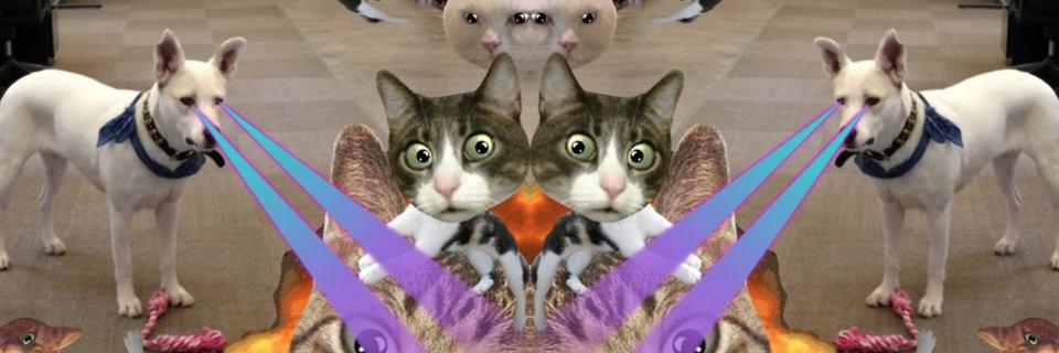 patrickholly's profile banner image