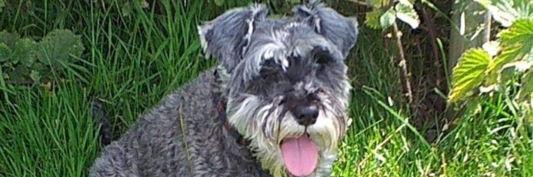 Jane Roberts 💙 banner